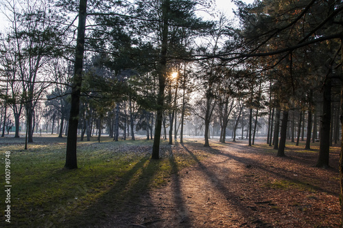 Parco Castello, Legnano.