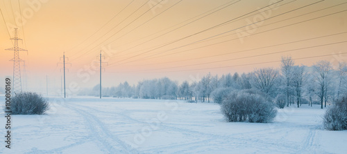 A winter scene