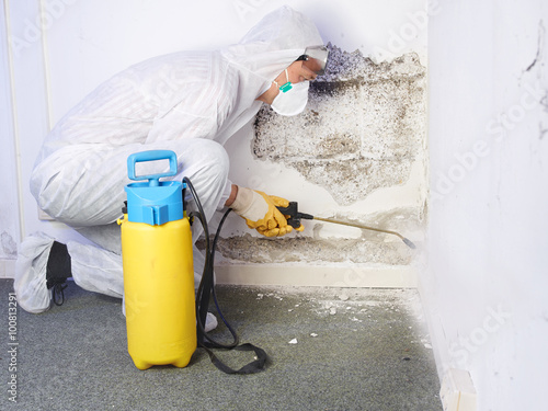 Pest controler eliminiates a mold infestation