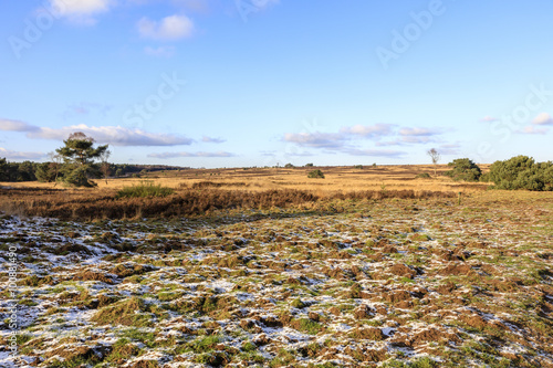 Winter op het Rozendaalse veld