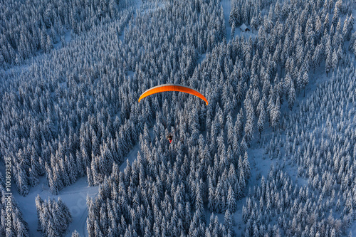 aerial view of paramotor over the forest in winter