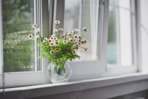 Small white flowers on a light windowsill 5058.