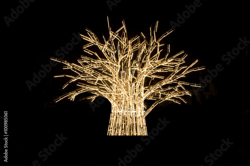 Tree of light with braches on a black background