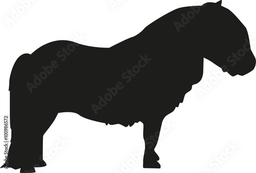 Shetland pony silhouette