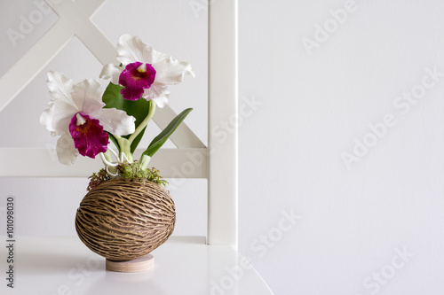 Cattleya orchid on white chair