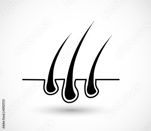 Hair bulb icon vector