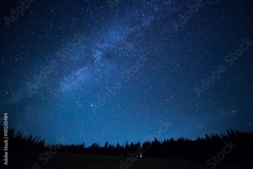 Niebieskie ciemne nocne niebo z wieloma gwiazdami nad polem drzew. Milkyw