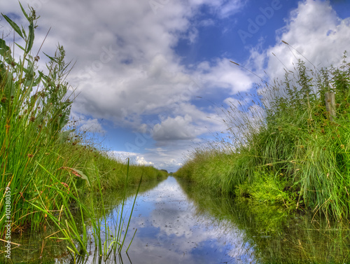 Freshwater ditch in dutch polder landscape