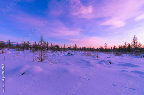 Winter landscape with forest, cloudy sky, trees, taiga and sunset 