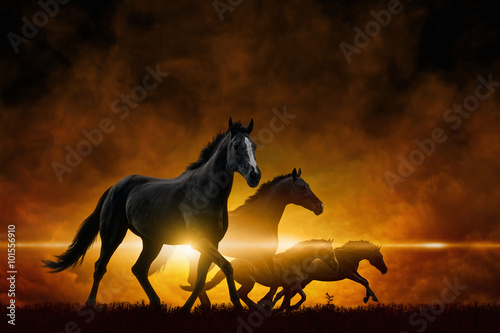 Four running black horses