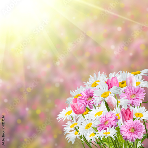 Background with Fragrant Flowers