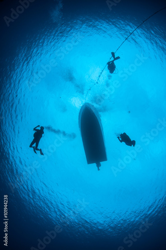 Divers Descend into Blue Water