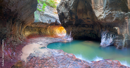 The Subway - Left Fork in Zion National Park