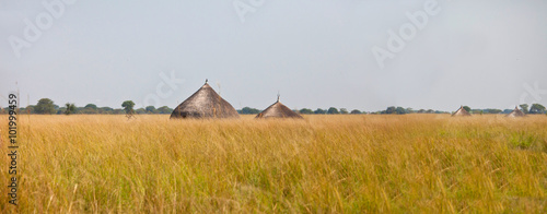 panorama of grassland of south sudan