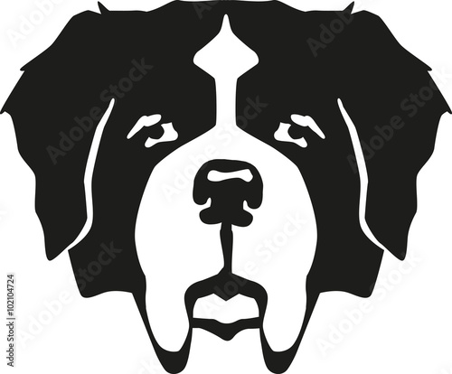 St. Bernard dog head