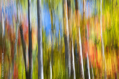 Fall colors abstract