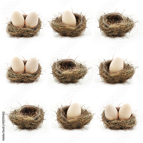 Composition with empty nest and big eggs inside the small nests, isolated on white