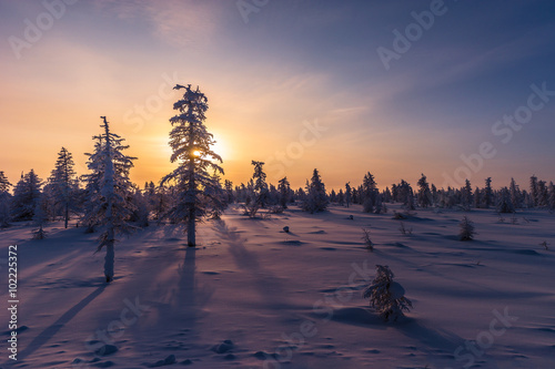 Winter landscape with forest, clouds and sun 