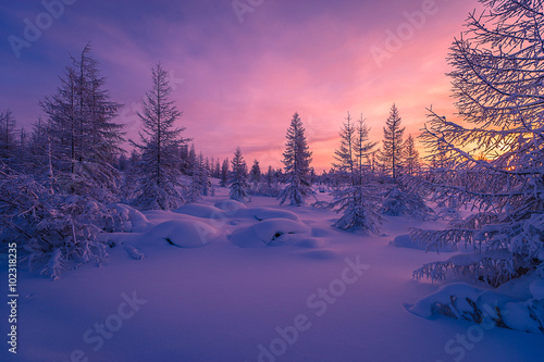 Zima krajobraz z lasem, chmurami na niebieskim niebie i słońcem