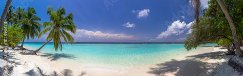Idyllic tropical beach panorama with turquoise water, white sand, and palm trees. The image is isolated and peaceful, with no people in sight. Perfect for travel ads and blogs