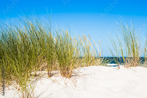Landscape with sea view, sand dune and grass, blue sky. Leba, Baltic sea, Poland.