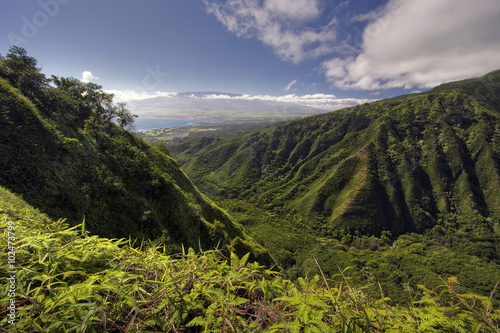 Waihee Ridge Trail, over looking Kahului and Haleakala, Maui, Hawaii