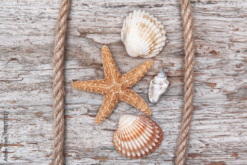 Seashells and rope on the old weathered wood