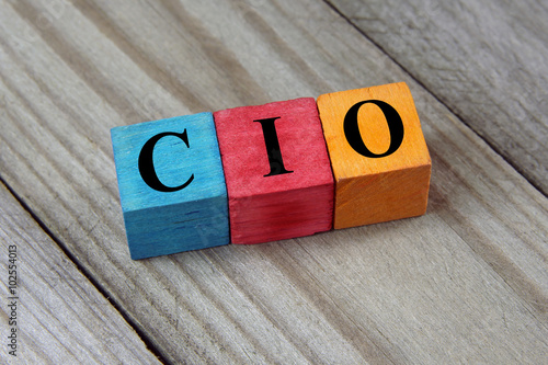 CIO (Chief Information Officer or Chief Investment Officer) text