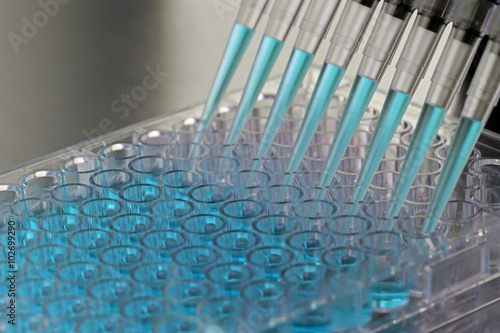 Adding samples inside a biosafety cabinet