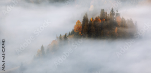 Carpathian Mountains. Mountains covered in mist, autumn forest.