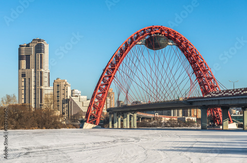 Москва, Россия. Живописный мост в Серебряном Бору зимой.