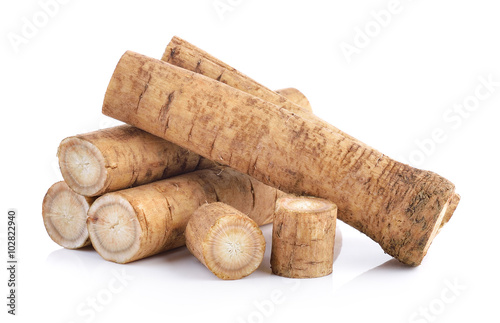 Fresh Burdock roots on white background