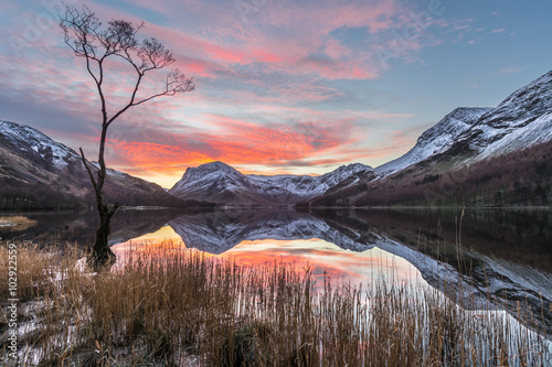 Dramatic winter sunrise at Buttermere in the English Lake District with calm reflections in lake and interesting lone tree.
