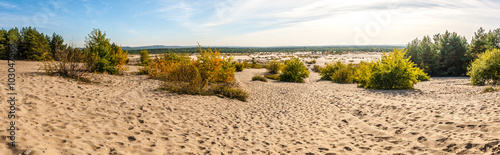 Pustynia Błędowska - panorama