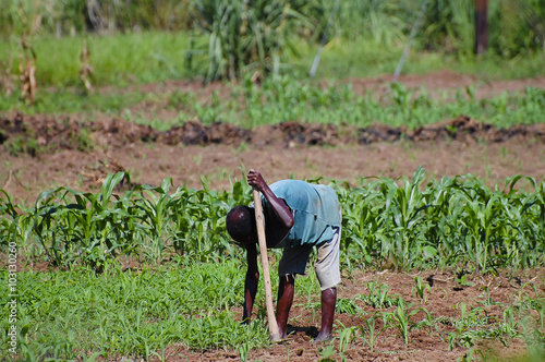 African Farmer - Malawi