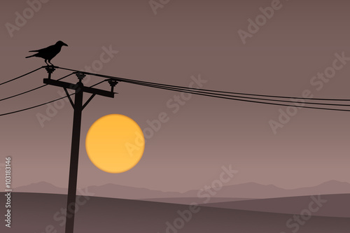 A Bird on Telephone Lines with Dark Sunrise, Sunset