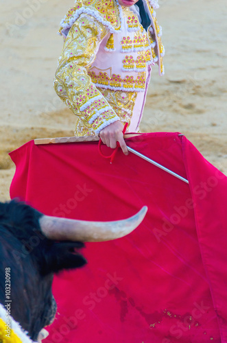 Bullfighter giving a pass to the bull with his cape