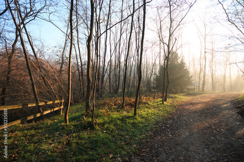 parco del Lura - Lomazzo