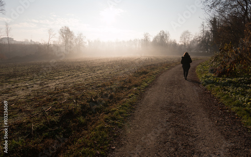 sentiero nel parco del Lura - Lomazzo