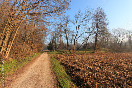 sentiero nel parco del Lura - Lomazzo