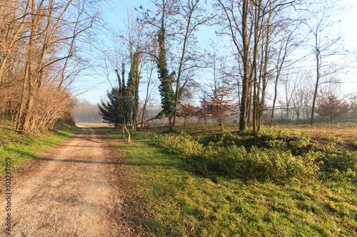 sentiero nel parco del Lura - Lomazzo