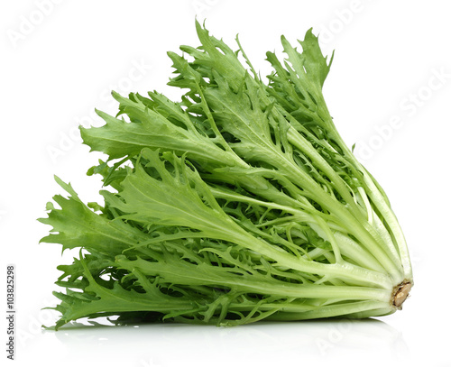 Escarole Endive