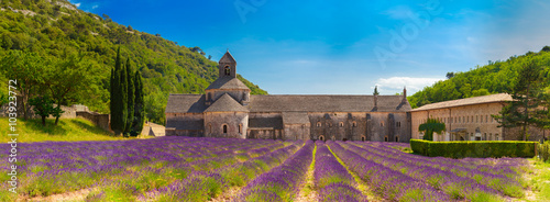 Ancient monastery Abbey Notre-Dame de Senanque in Vaucluse, France