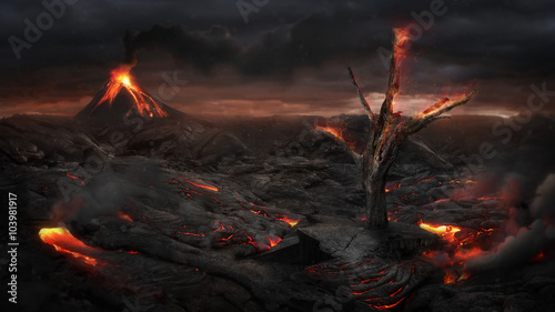 Fire tree in the volcanic landscape