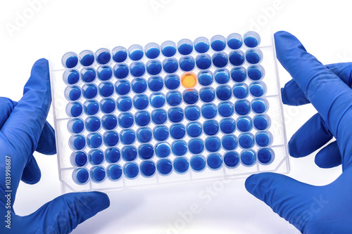 A hand with a microplate