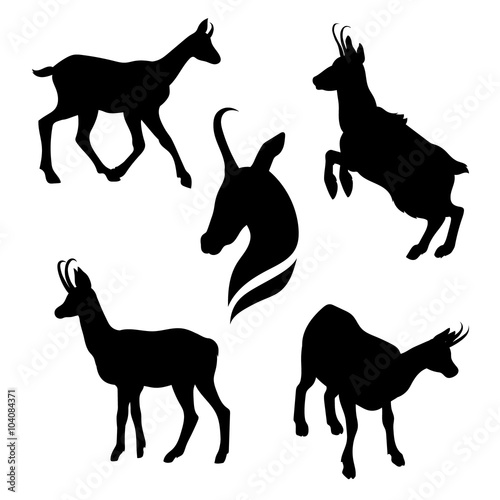 Chamois set vector