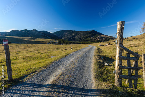 Country road in the mountains,Styria,Austria.