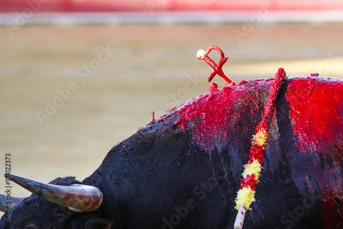 Spanish bullfight