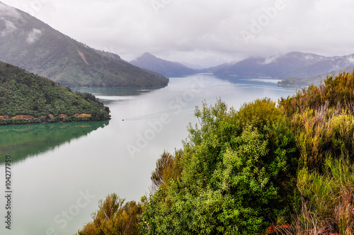 View of the sounds in Queen Charlotte Road, New Zealand