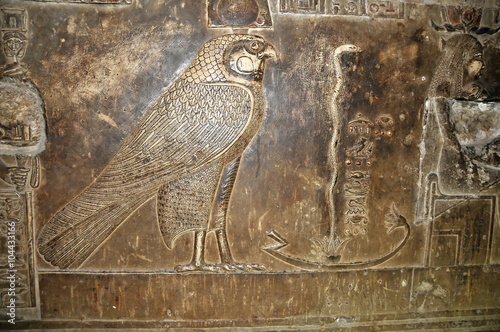 Ancient egyptian carving in stone of the god Horus